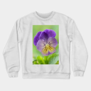 Pansy Viola  Photo with artistic filter applied Crewneck Sweatshirt